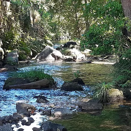 Дом отдыха Solar Da Motta Douro Boutique Ancede