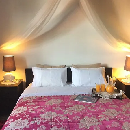 Solar Da Motta Douro Boutique Дом отдыха Ancede