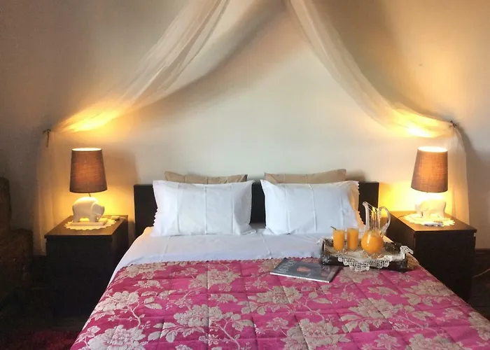 Solar Da Motta Douro Boutique 度假居 Ancede