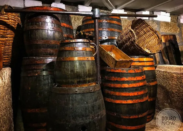 Solar Da Motta Douro Boutique Prázdninový dům